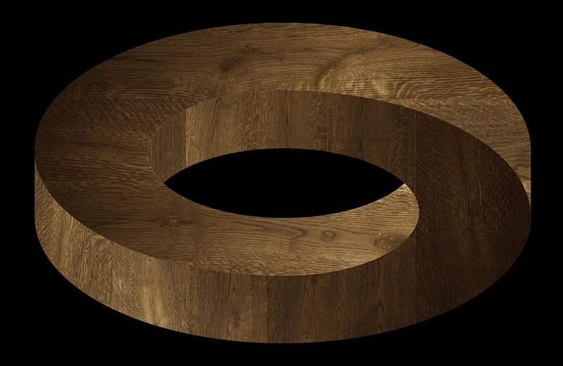 Black Holes